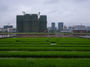 Japan Green Cement Market Outlook to 2035