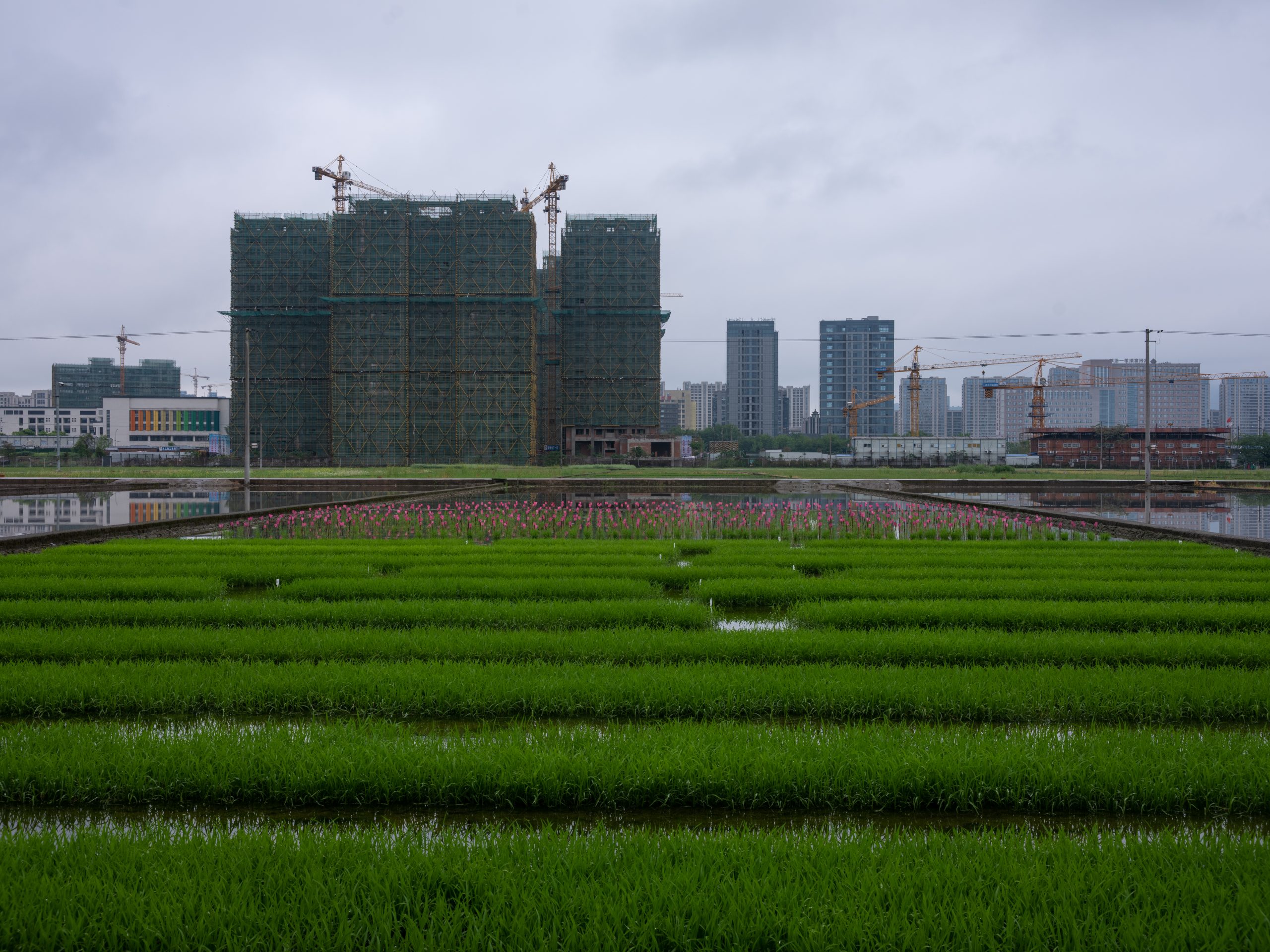 Japan Green Cement Market Outlook to 2035 Japan-Green-Cement-Market-scaled