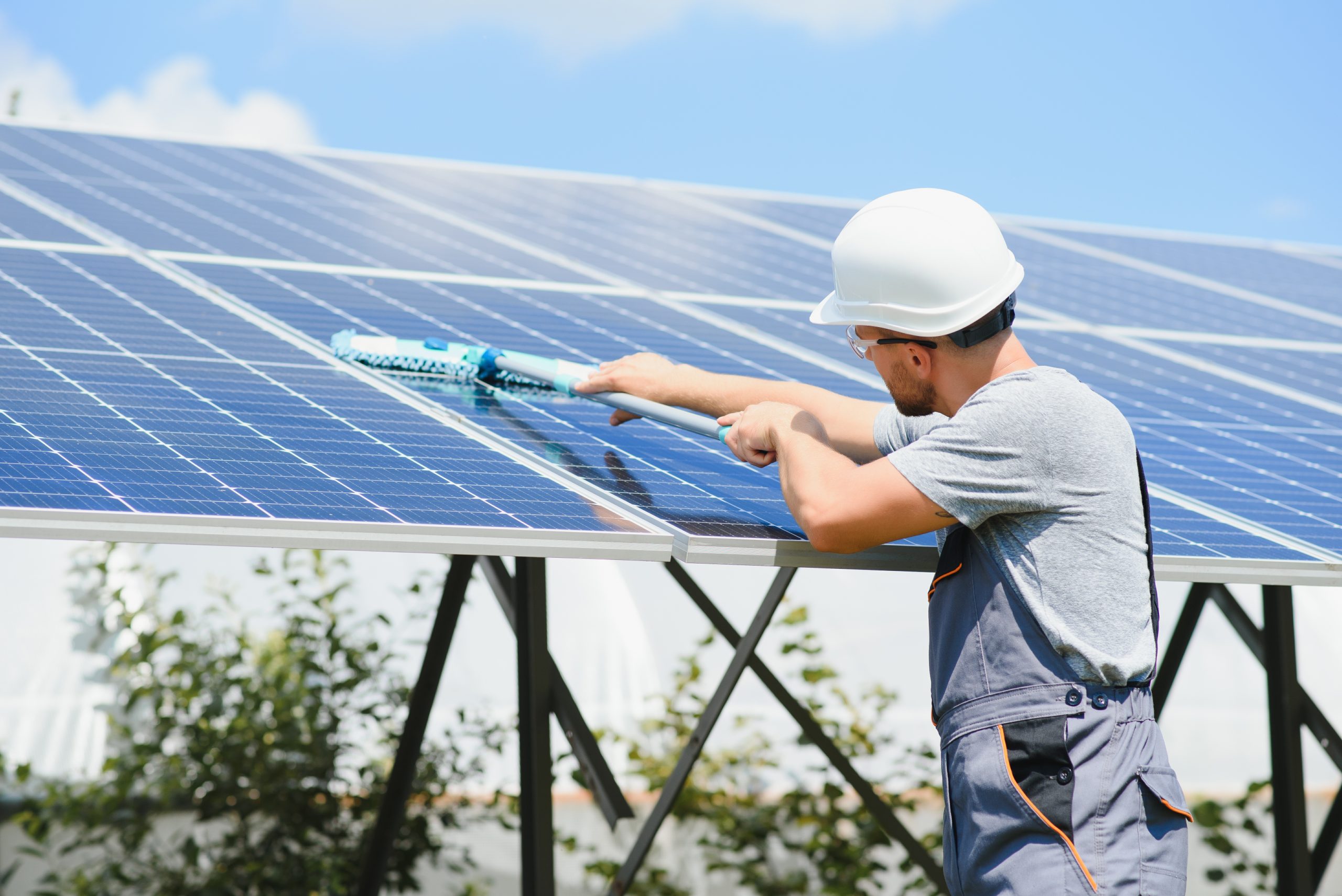 Malaysia-Solar-Panel-Cleaning-Systems-and-Services-Market-scaled