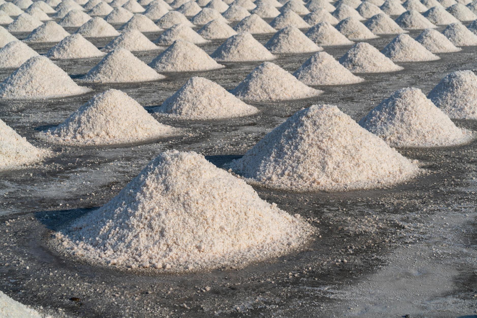 Philippines Native Starch Market Expands as Crops Production Reaches 88.74 Million Metric Tonnes Annually Media-49