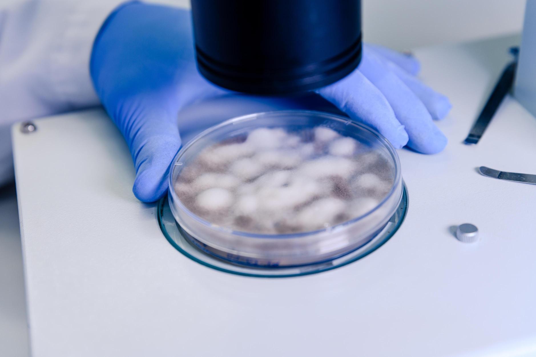 Singapore Superabsorbent Polymers Market Advances as Life Expectancy Reaches 83 Years Supporting Healthcare Demand Media-64