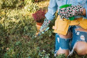 France Home and Garden Fungicides Market Outlook to 2035