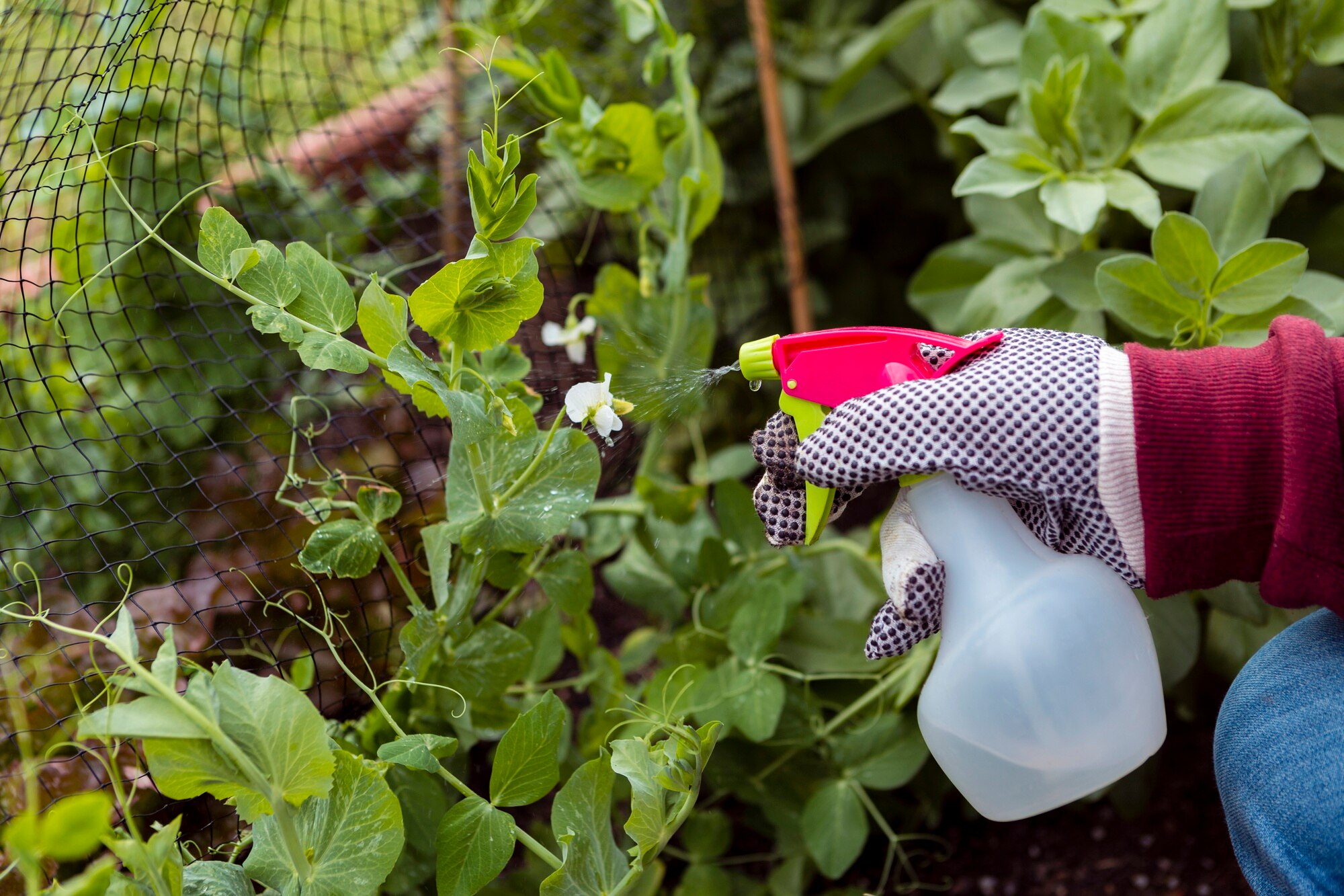 UK Home and Garden Fungicides Market Outlook to 2035 featured-image-846659bd-f49d-40f5-8ab2-b4bf917ae294