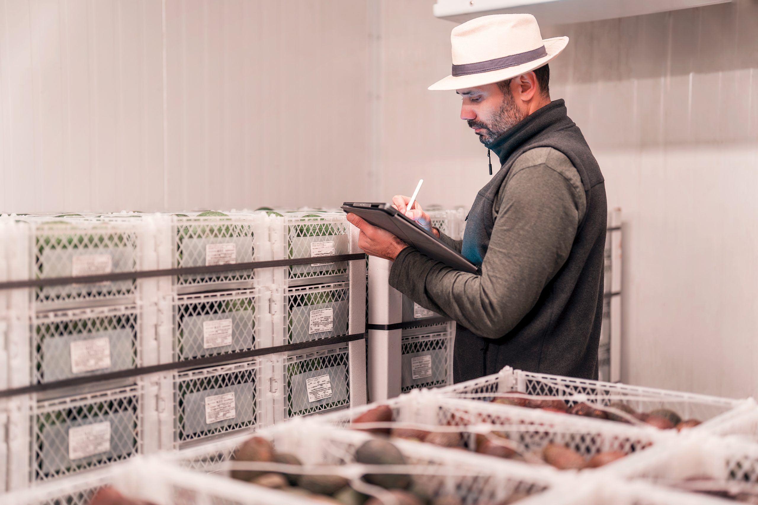 Can Frozen Food Scale Beyond Convenience? Assessing Demand, cold chain, pricing, and consumer acceptance frozen-food-market-feasibility-consulting-scaled