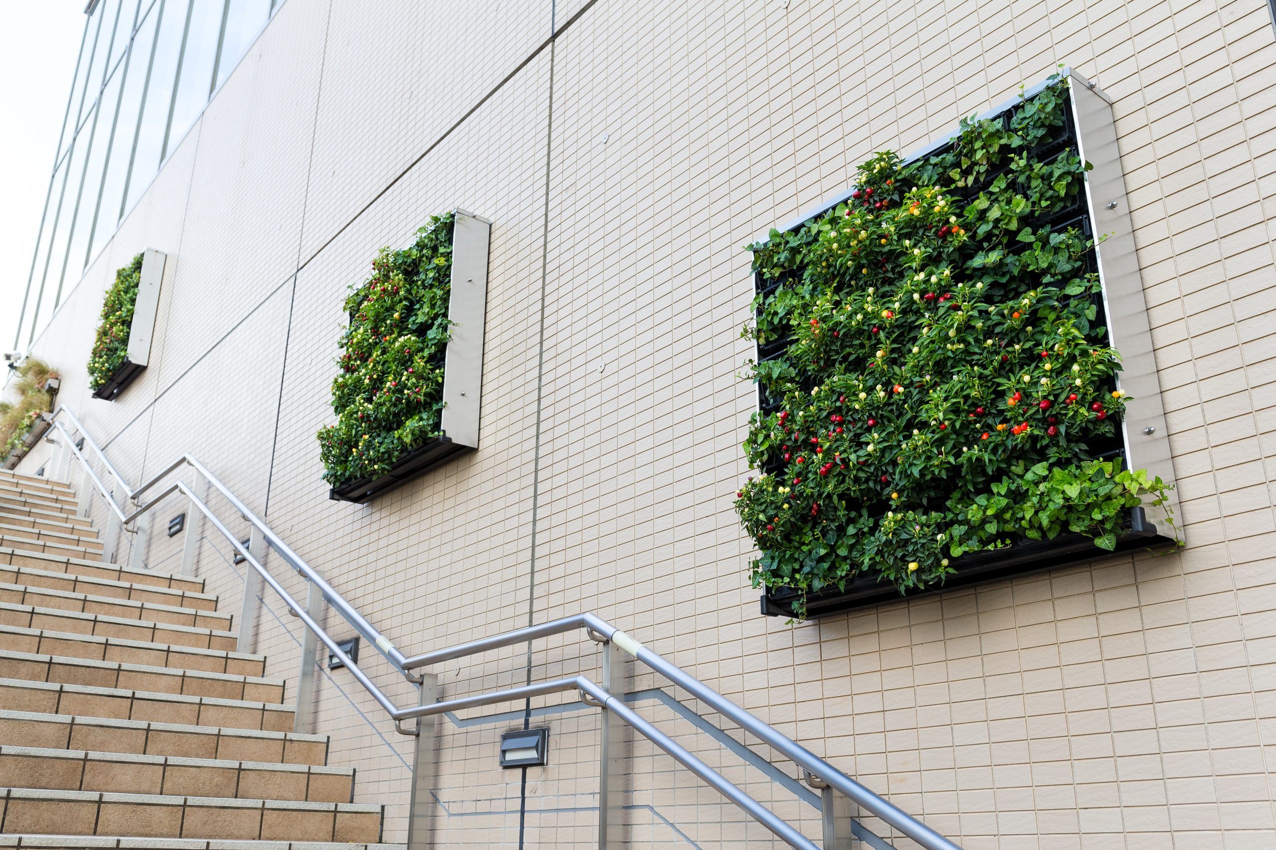 Malaysia Exterior Wall Systems Market Outlook to 2035 potted-plant-wall-decoration-scaled
