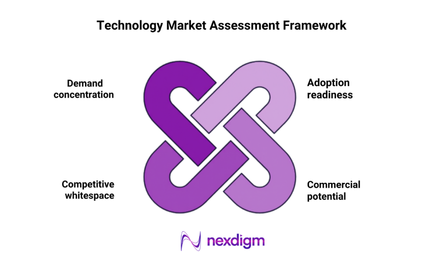 technology market assessment Framework