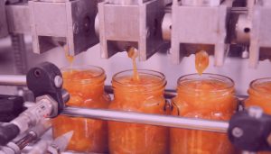 Key Highlights – Food Processing Industry